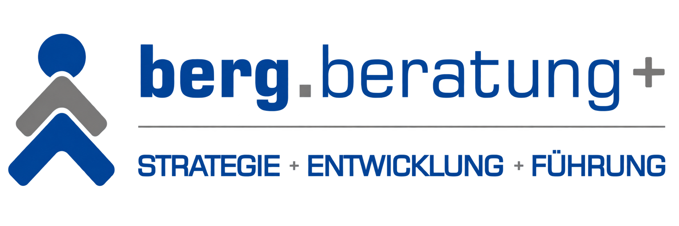Berg Beratung Plus – Strategie, Entwicklung und Führung